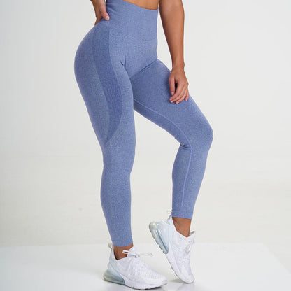 Light royal blue